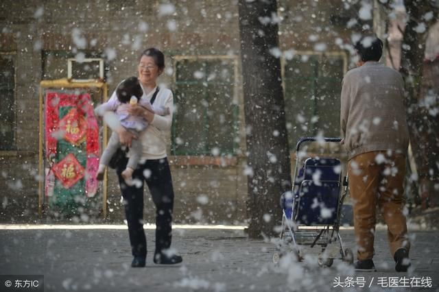 杨絮和柳絮的危害什么时候结束?为什么要种柳絮原因揭晓