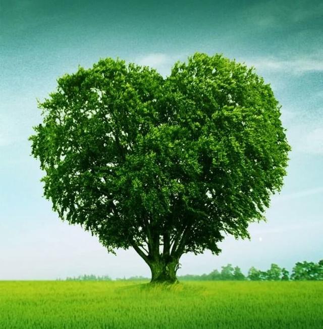 ˮγ￿ʲôӯ׬ǮϷˮγɳĸ