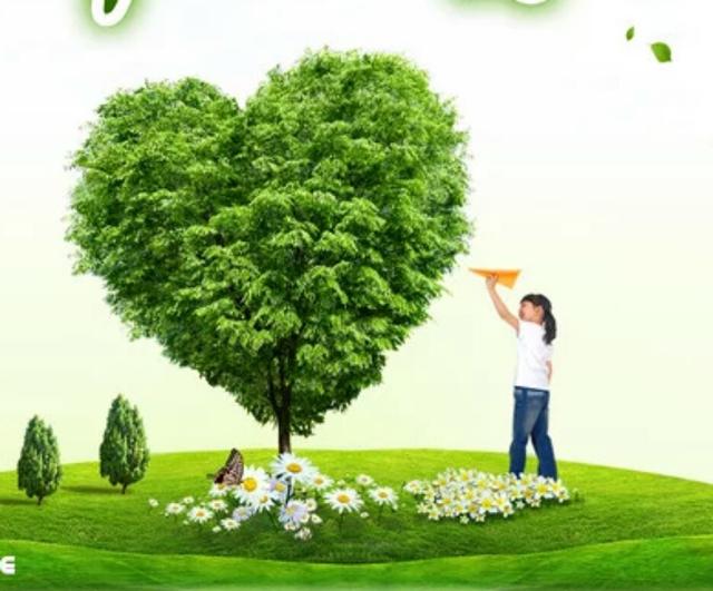 ˮγ￿ʲôӯ׬ǮϷˮγɳĸ