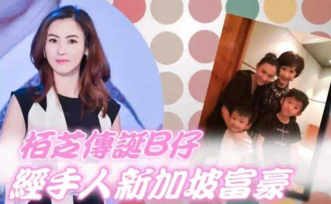 张柏芝三胎真父是谁为何迟迟不公布?深度扒皮张柏芝为何非要三胎