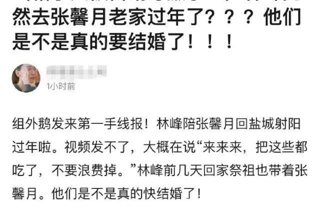 林峰女友张馨月个人资料家庭背景是富二代吗?张馨月身高是哪里人?
