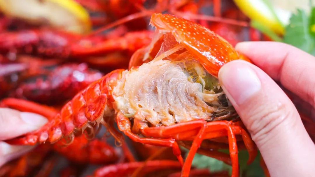 龙虾头部的黄到底是什么可以吃吗?是虾皇还是屎有没有毒?