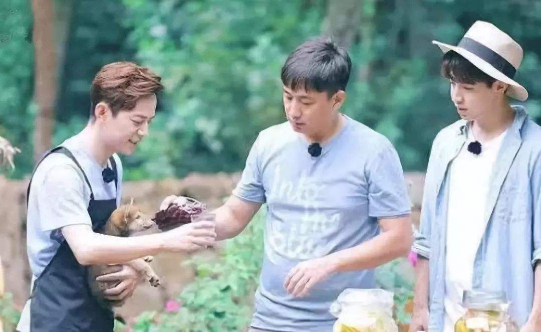 黄磊《向往》片酬曝光真实数字难以置信！黄磊弃当老师与节目有关