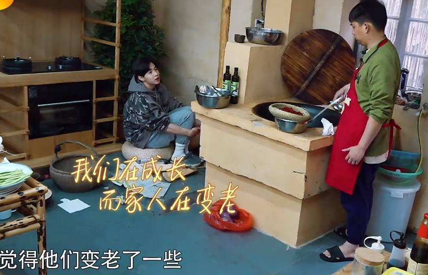 黄磊《向往》片酬曝光真实数字难以置信！黄磊弃当老师与节目有关