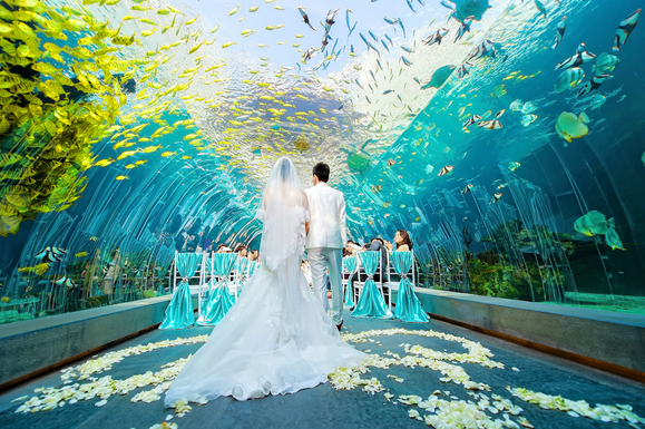 海底婚礼元素怎么样一般多少钱?海底主题婚礼现场效果图
