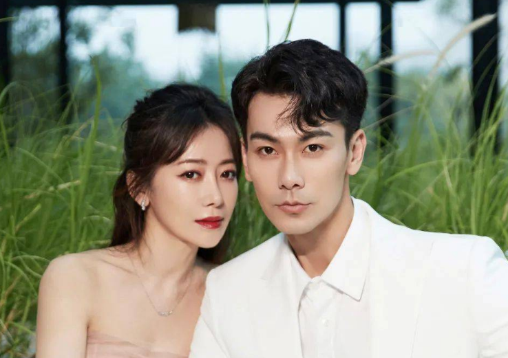 戴向宇是第二次结婚吗?陈紫函戴向宇什么时候结婚的怎么在一起的